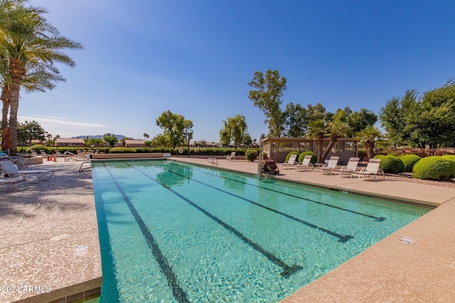 view of swimming pool with a patio