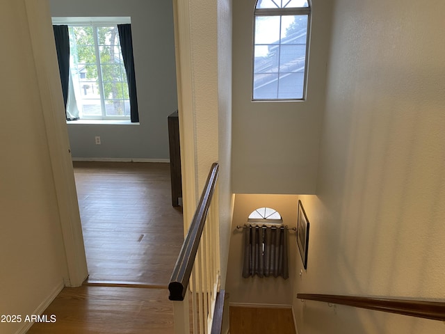 staircase featuring wood finished floors and baseboards