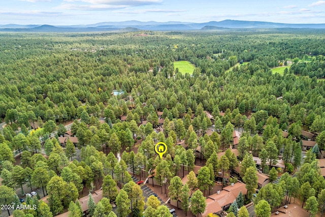 drone / aerial view featuring a mountain view