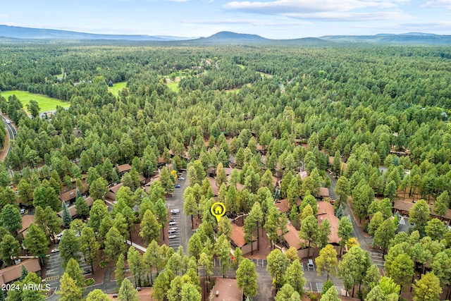 bird's eye view with a mountain view