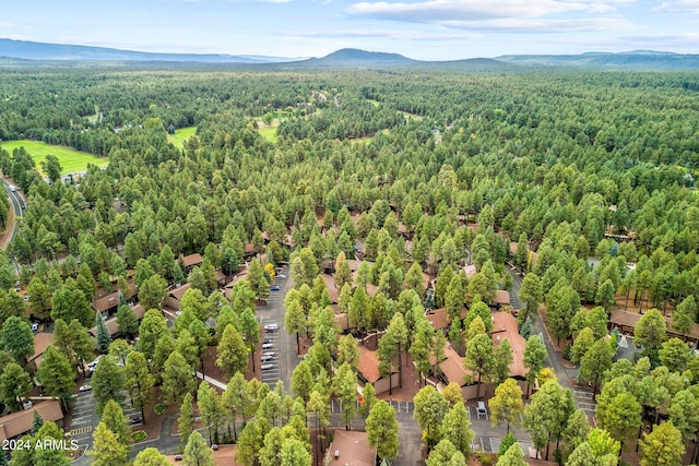 bird's eye view with a mountain view