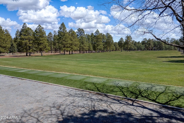 view of community featuring a yard