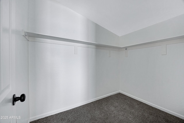1804 E Pueblo Ave, Phoenix, AZ 85040 - spacious closet with dark colored carpet and lofted ceiling
