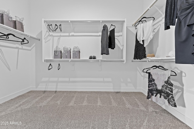 walk in closet with carpet flooring