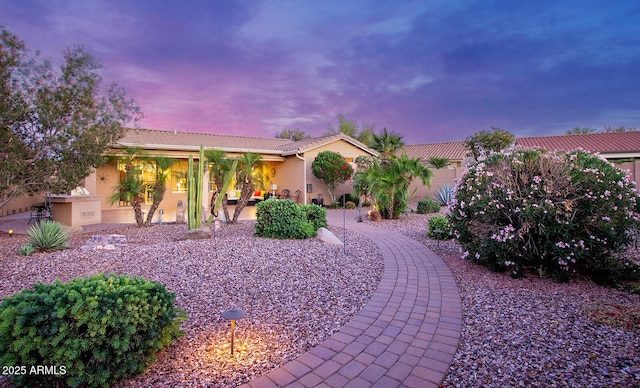 view of front of house with a tile roof, stucco siding, and a patio area