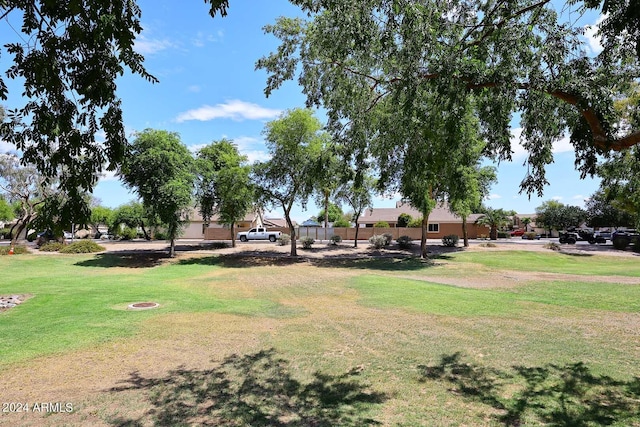 view of property's community featuring a lawn