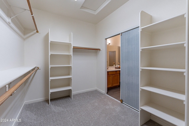 spacious closet with carpet floors