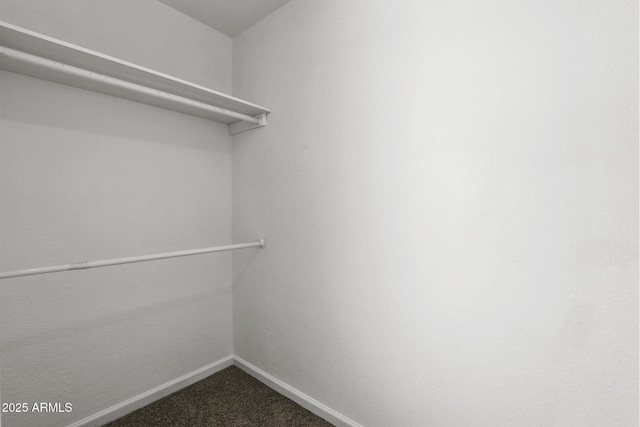 spacious closet with carpet flooring