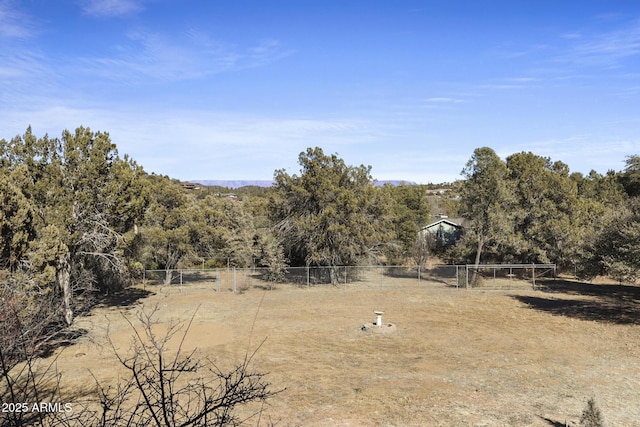 view of local wilderness featuring a rural view