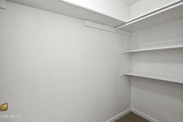 spacious closet featuring carpet flooring