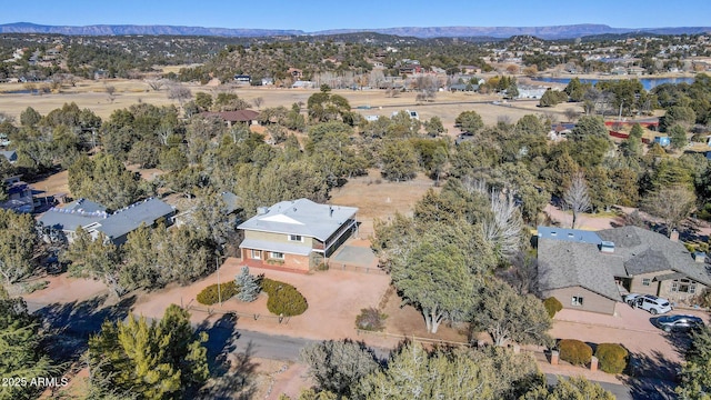 drone / aerial view featuring a mountain view