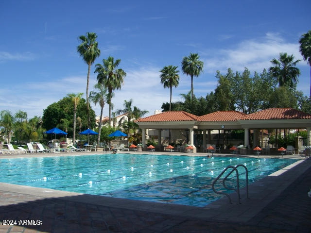 view of pool featuring a patio area