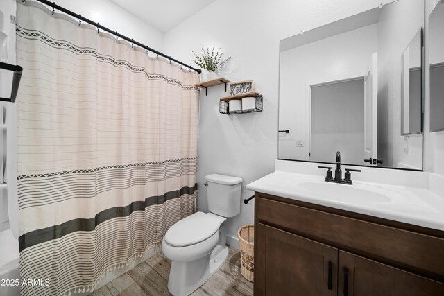 full bathroom featuring vanity, toilet, and a shower with shower curtain