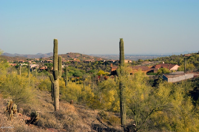 Listing photo 3 for 12008 N Eagle Ridge Dr Unit 67, Fountain Hills AZ 85268