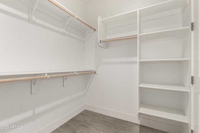 spacious closet featuring wood-type flooring