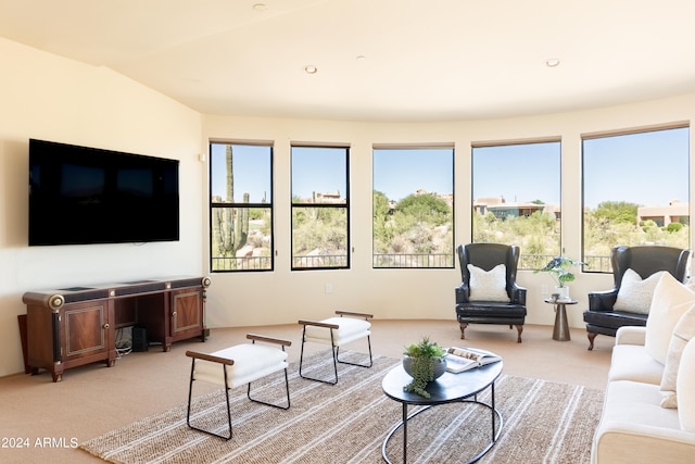 living room featuring light colored carpet