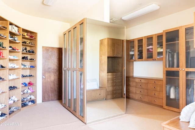 interior space with light colored carpet