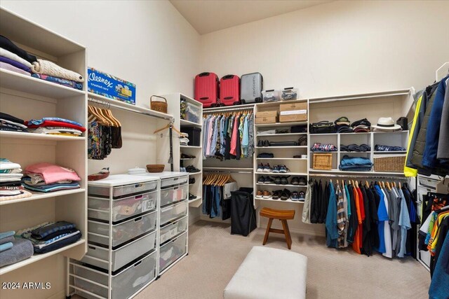 walk in closet with light carpet