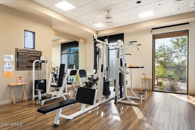 gym with a paneled ceiling and hardwood / wood-style floors