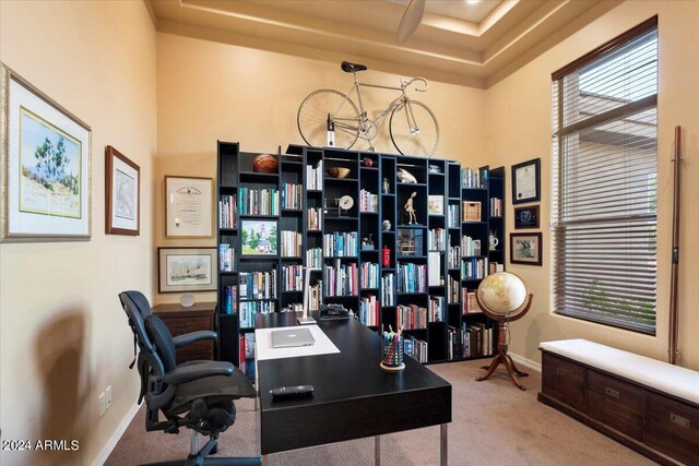 carpeted office space featuring a tray ceiling