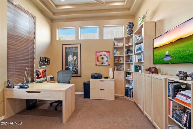 office with a tray ceiling and light colored carpet