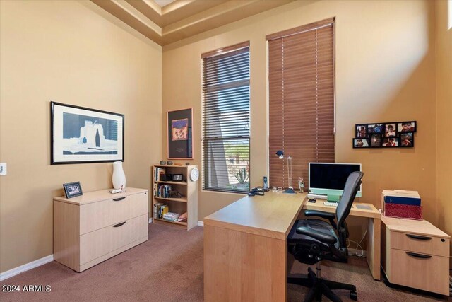 office area featuring carpet flooring