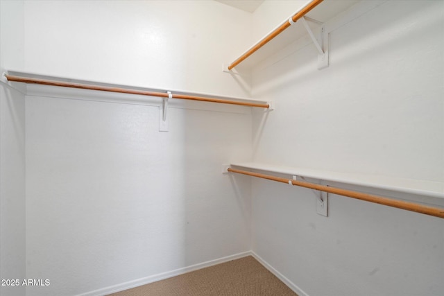 walk in closet featuring carpet flooring