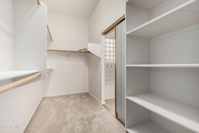 2425 W Red Range Way, Phoenix, AZ 85085 - walk in closet with carpet flooring