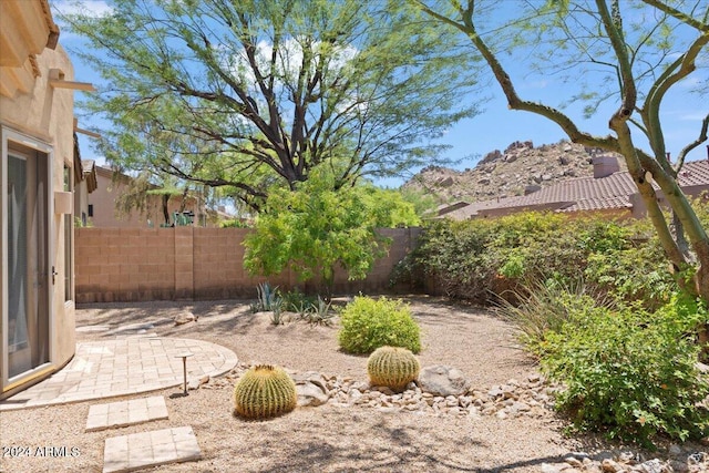 view of yard featuring a patio