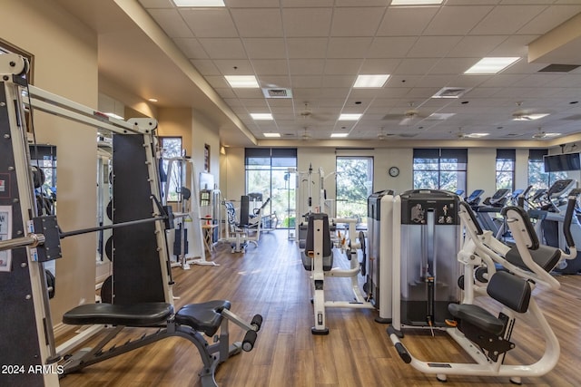 gym with hardwood / wood-style floors and a drop ceiling