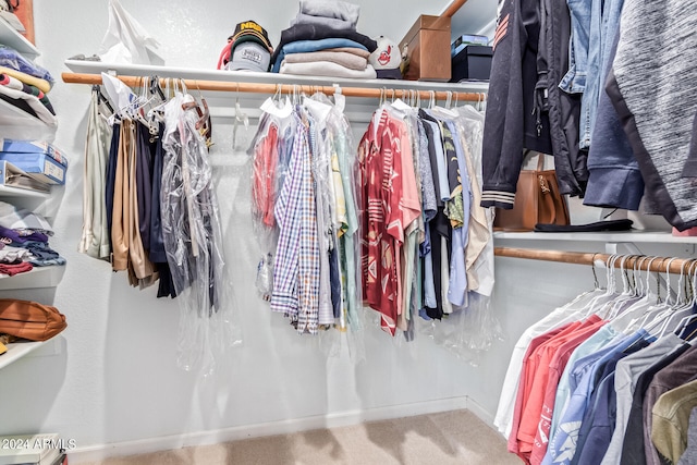 spacious closet with carpet