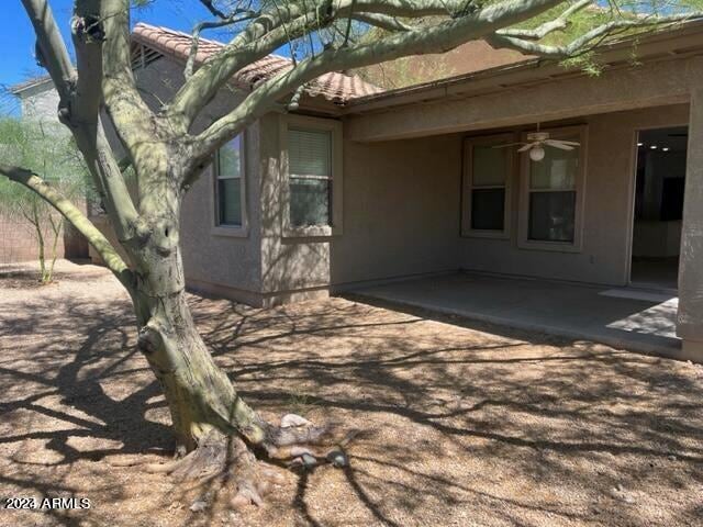 rear view of property with a patio area and ceiling fan