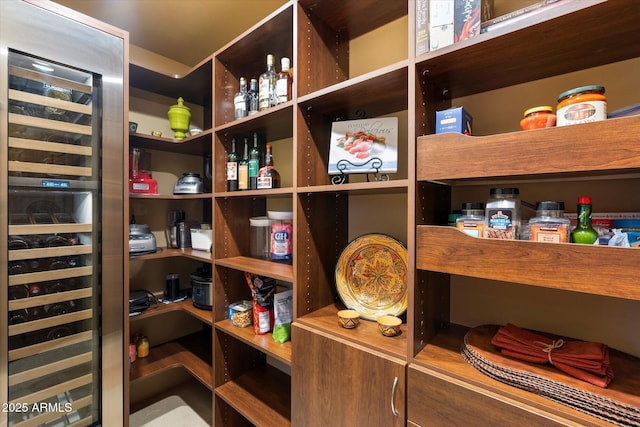 pantry with beverage cooler