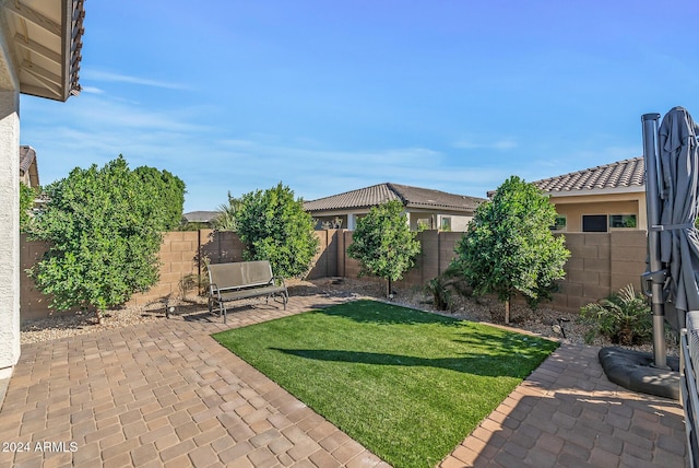 view of yard featuring a patio area