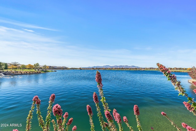 property view of water