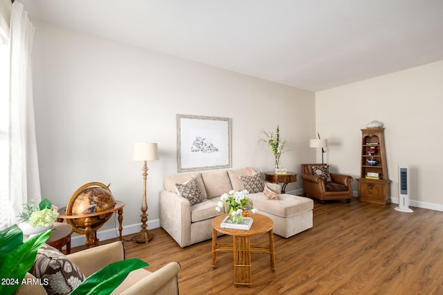 living room featuring wood-type flooring