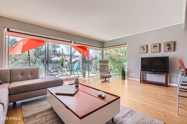 living area featuring plenty of natural light, wood finished floors, and baseboards