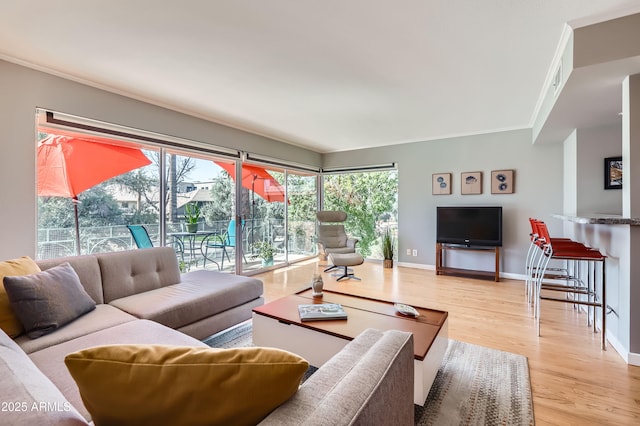 living room with baseboards, light wood-style floors, and ornamental molding