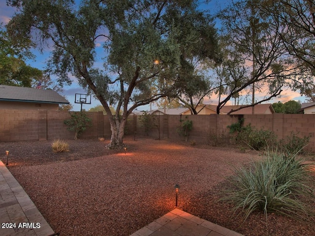 view of yard at dusk