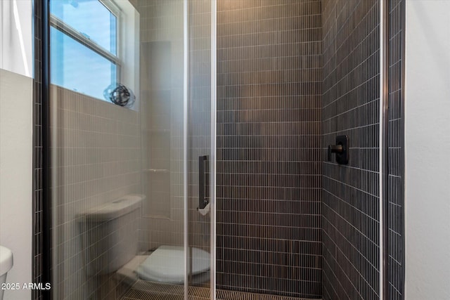 16533 E Dale Ln, Scottsdale, AZ 85262 - bathroom with toilet and a stall shower