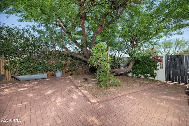 1441 E Hubbell St, Phoenix, AZ 85006 - view of patio