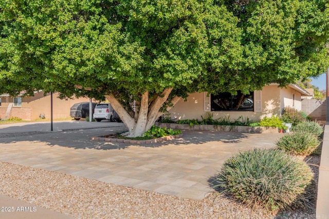 view of property hidden behind natural elements