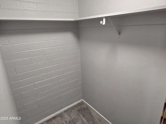 815 N Hayden Rd Unit A205, Scottsdale, AZ 85257 - spacious closet featuring carpet floors
