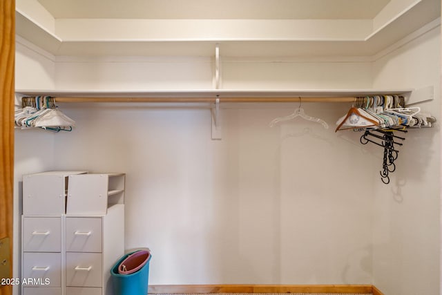 2288 Richenbacher Cir, Overgaard, AZ 85933 - view of walk in closet