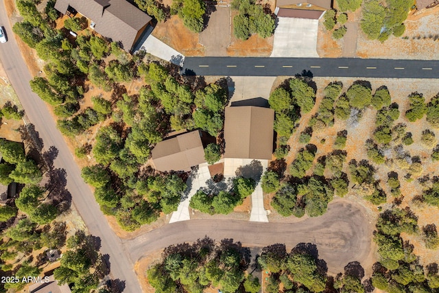 2288 Richenbacher Cir, Overgaard, AZ 85933 - bird's eye view