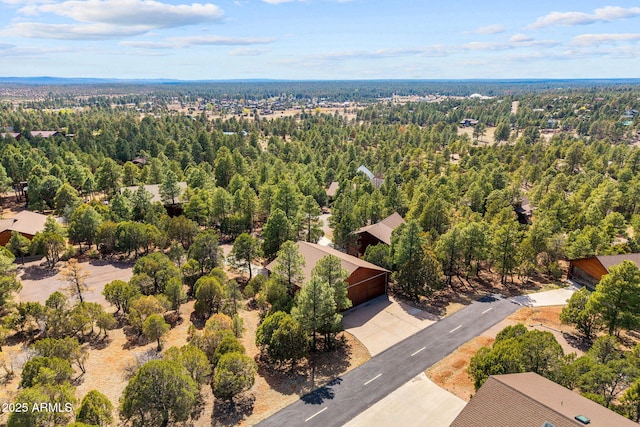 2288 Richenbacher Cir, Overgaard, AZ 85933 - drone / aerial view of a forest