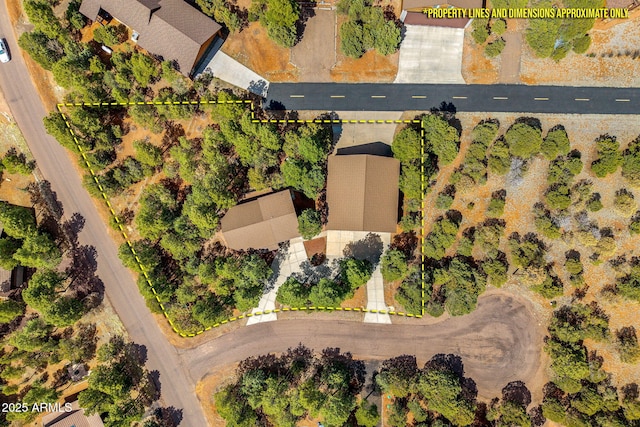 2288 Richenbacher Cir, Overgaard, AZ 85933 - aerial view of property's location featuring property parcel outlined