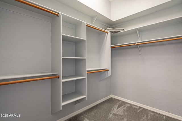 walk in closet featuring dark carpet