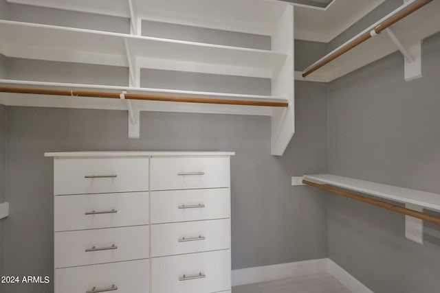 view of spacious closet