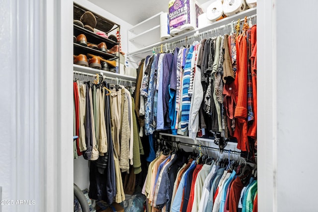 view of walk in closet